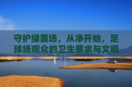 守护绿茵场，从净开始，足球场观众的卫生要求与文明礼仪