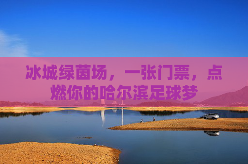 冰城绿茵场,一张门票,点燃你的哈尔滨足球梦