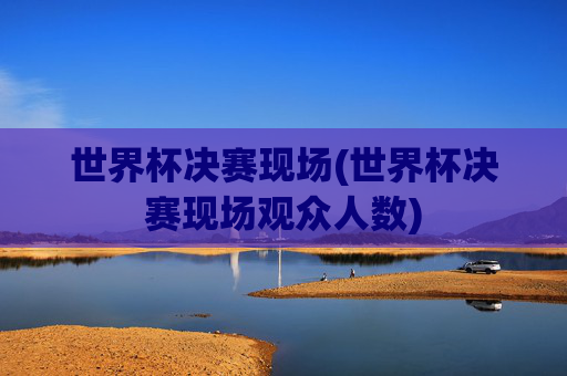 世界杯决赛现场(世界杯决赛现场观众人数)