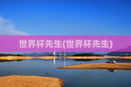 世界杯先生(世界杯先生)