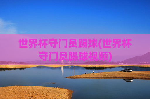 世界杯守门员踢球(世界杯守门员踢球视频)