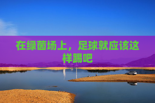 在绿茵场上，足球就应该这样踢吧