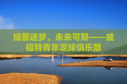 绿茵逐梦,未来可期——威福特青年足球俱乐部