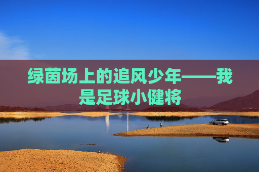 绿茵场上的追风少年——我是足球小健将