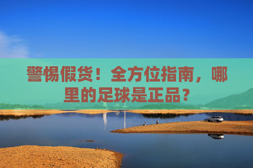 警惕假货！全方位指南，哪里的足球是正品？