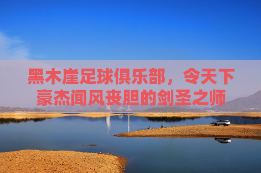 黑木崖足球俱乐部，令天下豪杰闻风丧胆的剑圣之师
