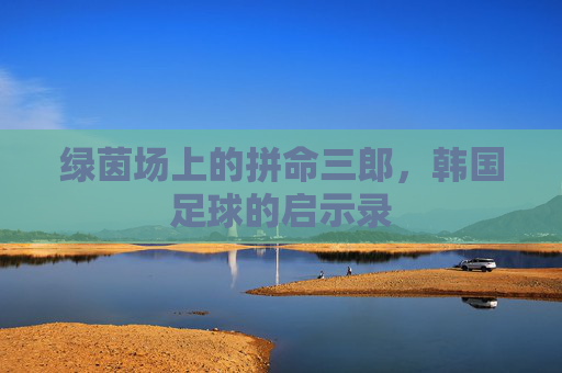 绿茵场上的拼命三郎，韩国足球的启示录