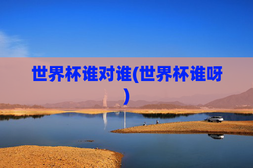世界杯谁对谁(世界杯谁呀)
