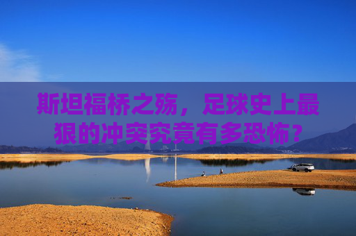 斯坦福桥之殇，足球史上最狠的冲突究竟有多恐怖？