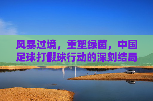 风暴过境，重塑绿茵，中国足球打假球行动的深刻结局与未来展望