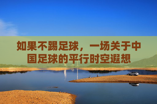 如果不踢足球，一场关于中国足球的平行时空遐想