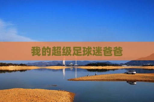 我的超级足球迷爸爸