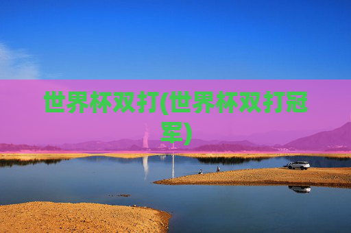 世界杯双打(世界杯双打冠军)