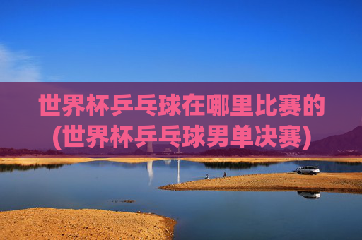 世界杯乒乓球在哪里比赛的(世界杯乒乓球男单决赛)
