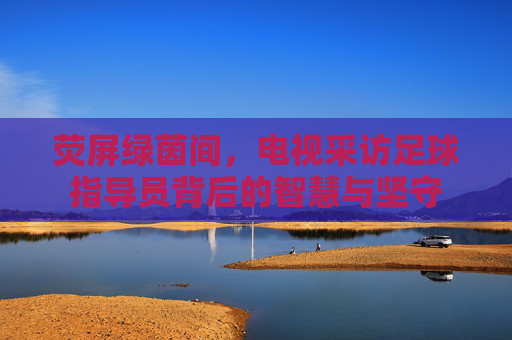 荧屏绿茵间,电视采访足球指导员背后的智慧与坚守