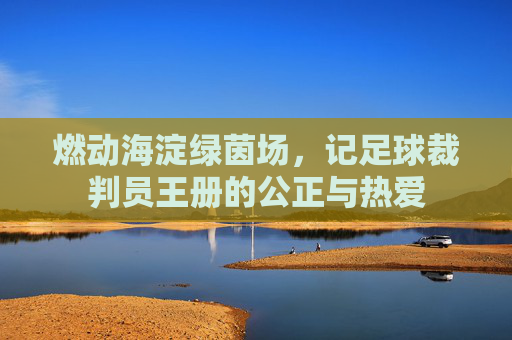 燃动海淀绿茵场，记足球裁判员王册的公正与热爱