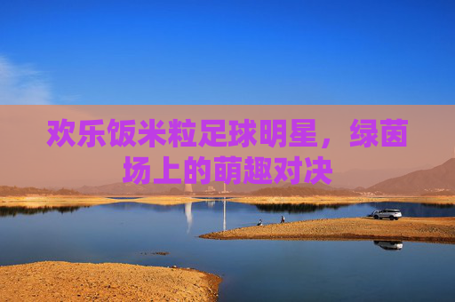 欢乐饭米粒足球明星，绿茵场上的萌趣对决