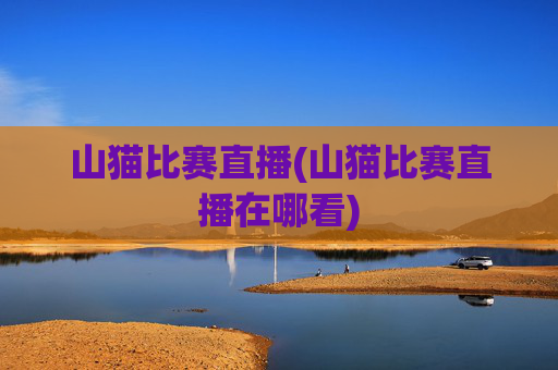 山猫比赛直播(山猫比赛直播在哪看)