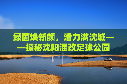 绿茵焕新颜，活力满沈城——探秘沈阳混改足球公园