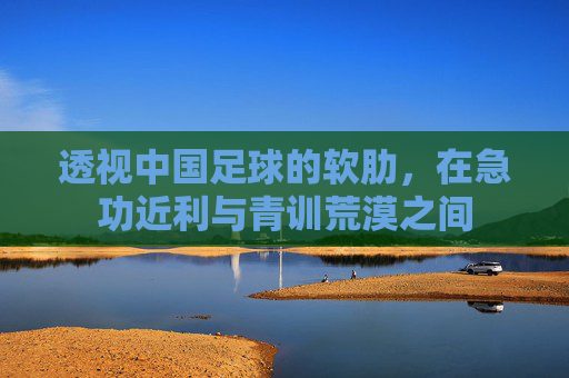 透视中国足球的软肋,在急功近利与青训荒漠之间