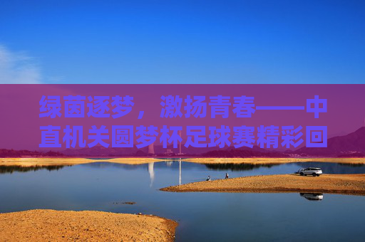 绿茵逐梦，激扬青春——中直机关圆梦杯足球赛精彩回顾
