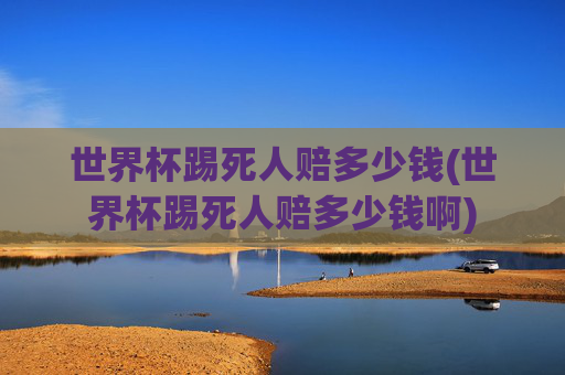 世界杯踢死人赔多少钱(世界杯踢死人赔多少钱啊)