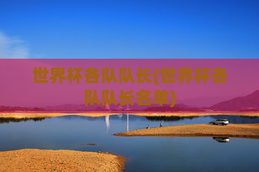 世界杯各队队长(世界杯各队队长名单)
