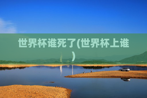 世界杯谁死了(世界杯上谁)