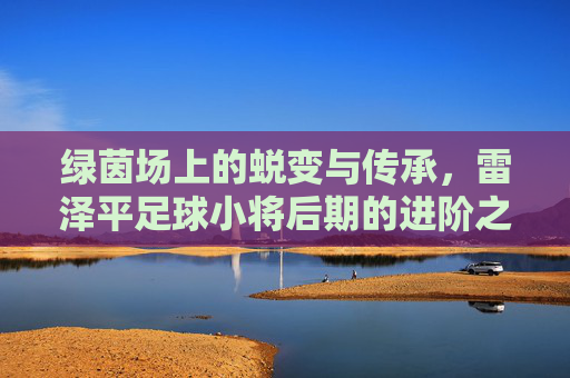 绿茵场上的蜕变与传承，雷泽平足球小将后期的进阶之路