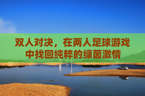 双人对决,在两人足球游戏中找回纯粹的绿茵激情