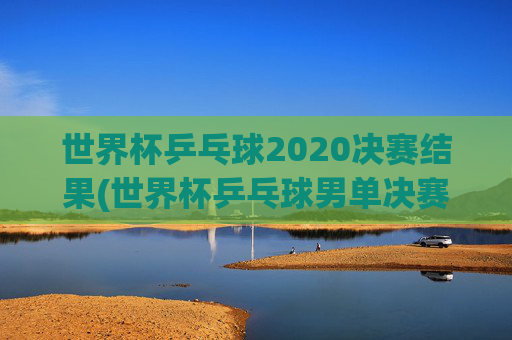 世界杯乒乓球2020决赛结果(世界杯乒乓球男单决赛)