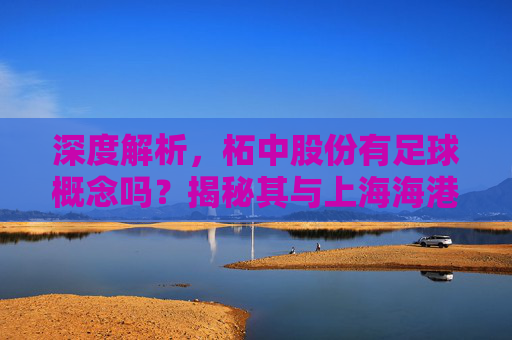 深度解析,柘中股份有足球概念吗?揭秘其与上海海港的资本关联
