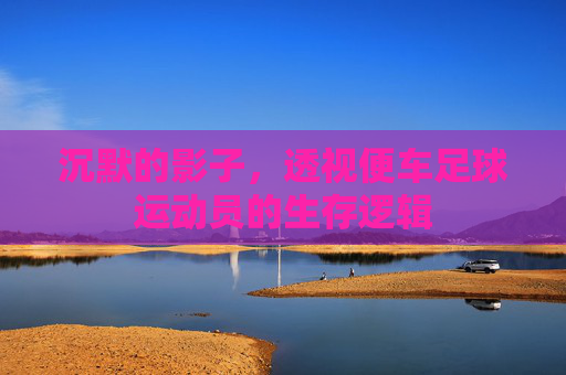 沉默的影子，透视便车足球运动员的生存逻辑