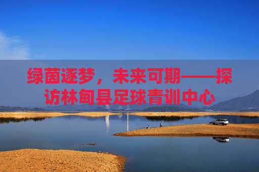 绿茵逐梦,未来可期——探访林甸县足球青训中心