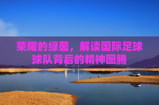 荣耀的绿茵,解读国际足球球队背后的精神图腾