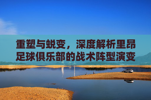 重塑与蜕变，深度解析里昂足球俱乐部的战术阵型演变