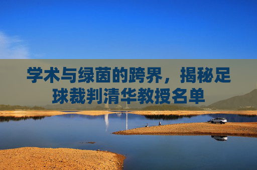学术与绿茵的跨界,揭秘足球裁判清华教授名单
