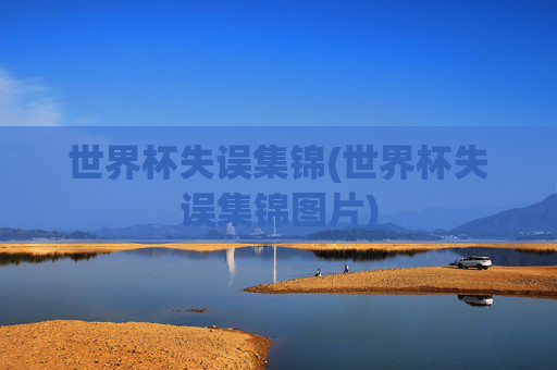 世界杯失误集锦(世界杯失误集锦图片)