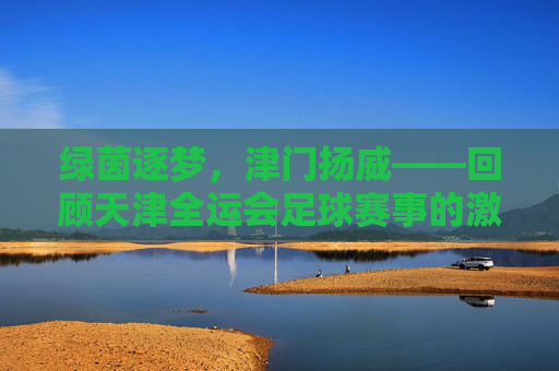 绿茵逐梦，津门扬威——回顾天津全运会足球赛事的激情与荣耀