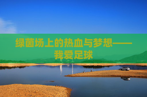 绿茵场上的热血与梦想——我爱足球