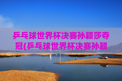 乒乓球世界杯决赛孙颖莎夺冠(乒乓球世界杯决赛孙颖莎夺冠视频)