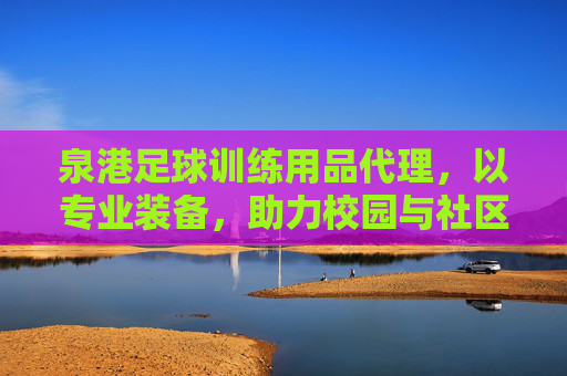 泉港足球训练用品代理,以专业装备,助力校园与社区足球梦之队