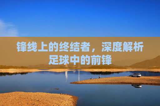 锋线上的终结者，深度解析足球中的前锋