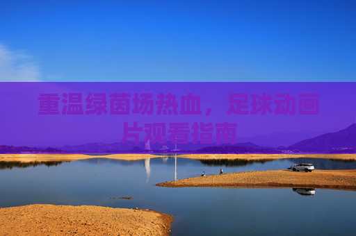 重温绿茵场热血,足球动画片观看指南