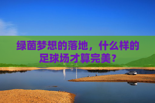 绿茵梦想的落地，什么样的足球场才算完美？