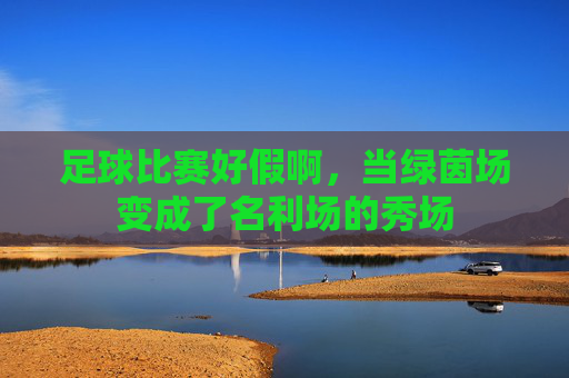 足球比赛好假啊,当绿茵场变成了名利场的秀场