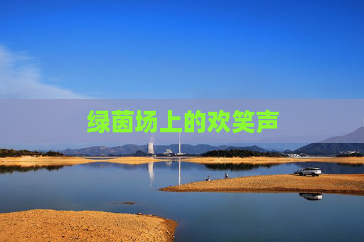 绿茵场上的欢笑声