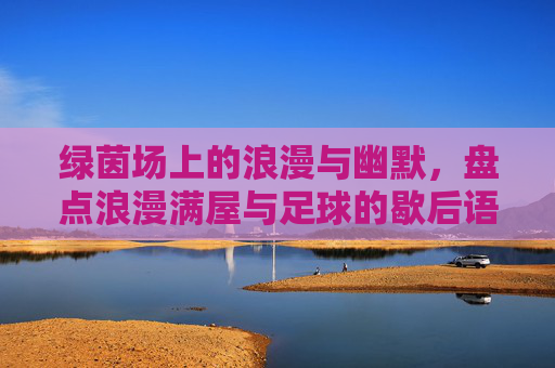绿茵场上的浪漫与幽默,盘点浪漫满屋与足球的歇后语趣谈