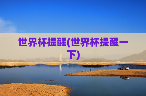 世界杯提醒(世界杯提醒一下)