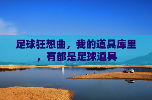 足球狂想曲,我的道具库里,有都是足球道具